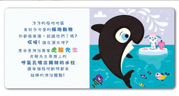 【極地動物偷偷摸】Never Touch！觸摸書 Never Touch！動物偷偷摸,觸摸書,手眼協調,幼稚園,動物,極地動物,海洋生物,貪吃動物,變身動物,調皮動物,派對動物,玩具書,操作書,硬頁書,親子共讀,進口書,禾流文創