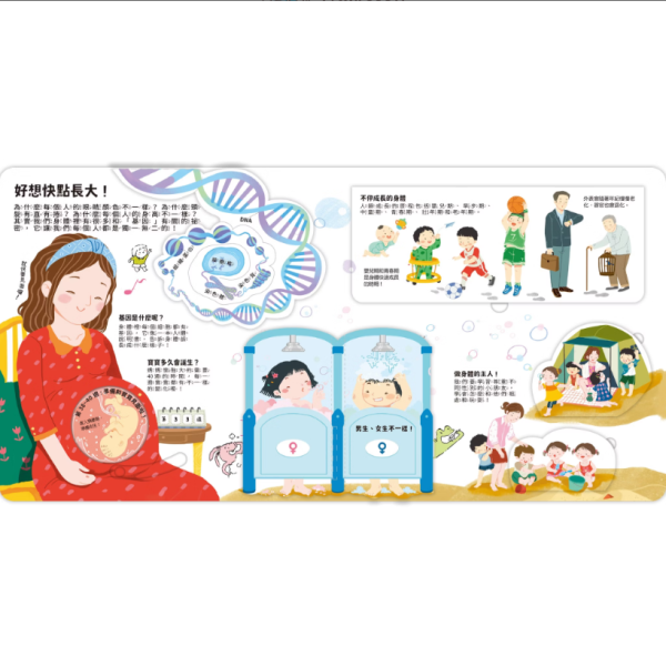 【知識立體翻翻書-身體好重要！】 知識立體翻翻書-身體好重要