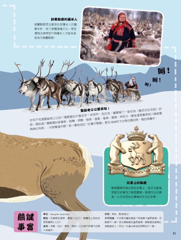 【SDGs主題套書：世界動物小百科＋探索海洋】兩冊 SDGs主題套書：世界動物小百科＋探索海洋,環保,動保,百科,五南圖書,