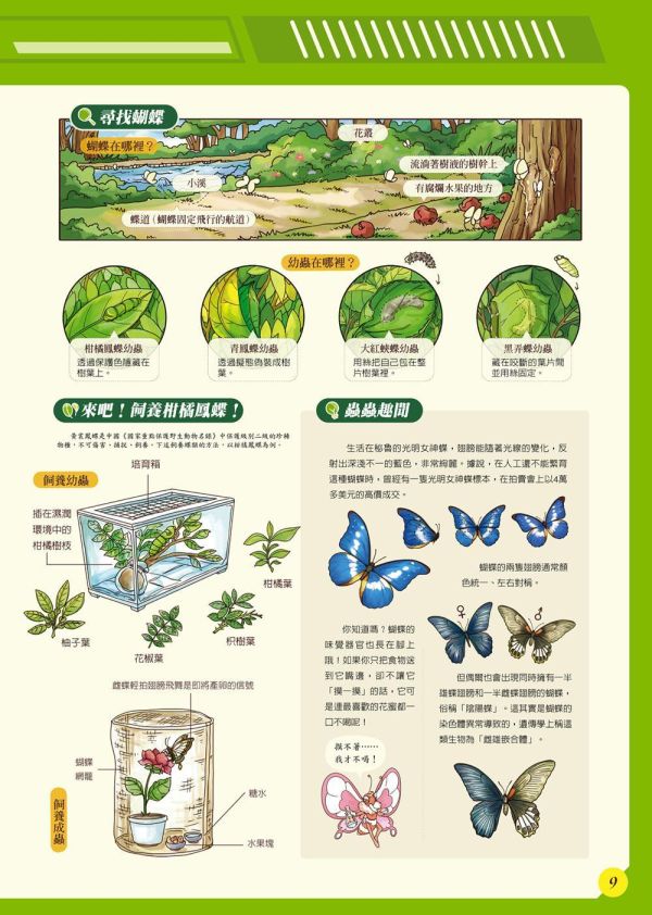 【昆蟲：一座書本上的蟲蟲藝術博物館】 昆蟲：一座書本上的蟲蟲藝術博物館,昆蟲,繪本,昆蟲,自然,科學研究,生態人文,跨領域學習,自然與生活科技,綜合活動