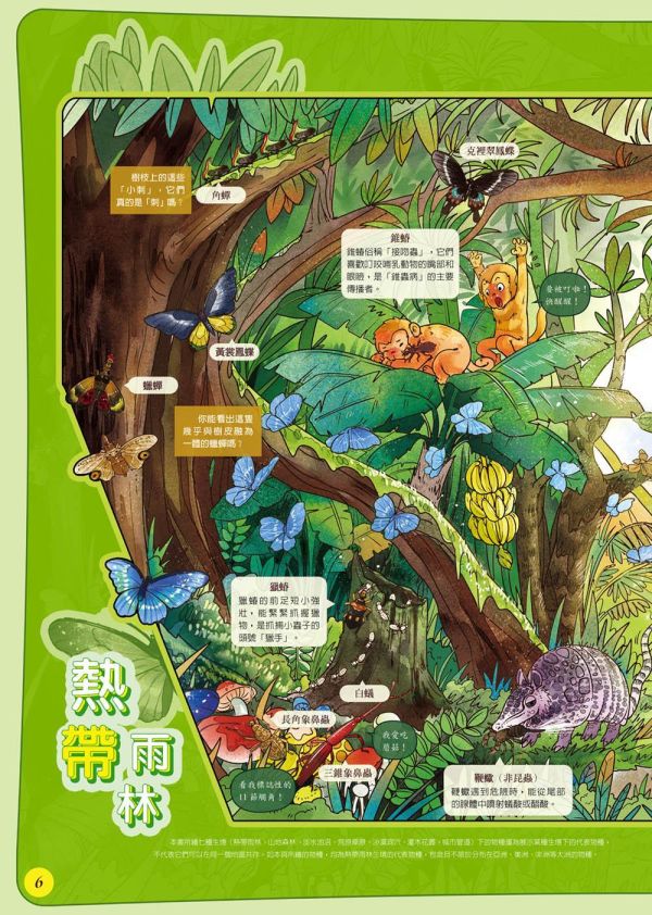 【昆蟲：一座書本上的蟲蟲藝術博物館】 昆蟲：一座書本上的蟲蟲藝術博物館,昆蟲,繪本,昆蟲,自然,科學研究,生態人文,跨領域學習,自然與生活科技,綜合活動