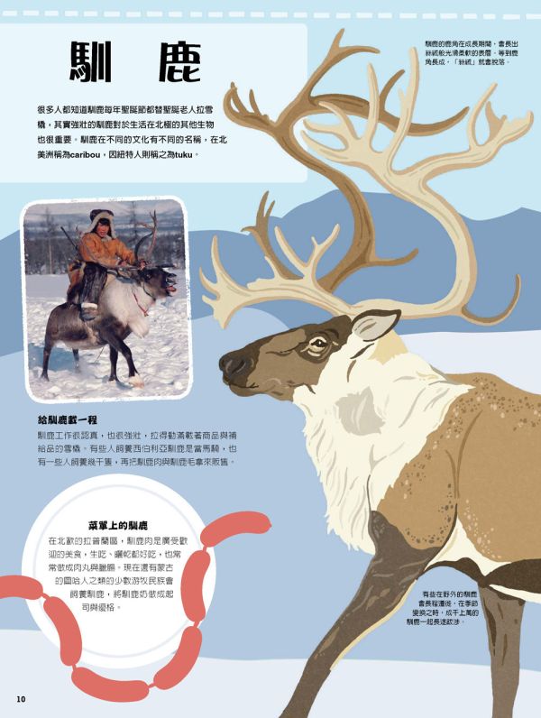 【SDGs主題套書：世界動物小百科＋探索海洋】兩冊 SDGs主題套書：世界動物小百科＋探索海洋,環保,動保,百科,五南圖書,