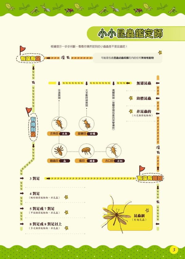 【昆蟲：一座書本上的蟲蟲藝術博物館】 昆蟲：一座書本上的蟲蟲藝術博物館,昆蟲,繪本,昆蟲,自然,科學研究,生態人文,跨領域學習,自然與生活科技,綜合活動