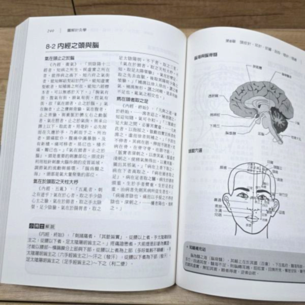 【圖解針灸學】 圖解針灸學,圖解系列,五南圖書,國家考試用書,內經,難經,傷寒論,金匱要略,中醫學,