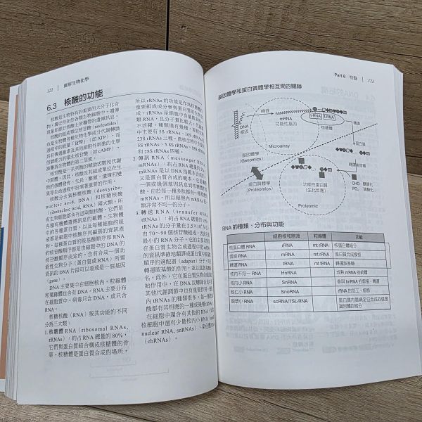 【圖解生物化學】 圖解生物化學,五南圖書,圖解系列,醫護,藥學,化學,食品科學,營養,生技,農學,水產,環境,公共衛生,生物學,基礎科學,製藥,醫學,營養學,生物技術,