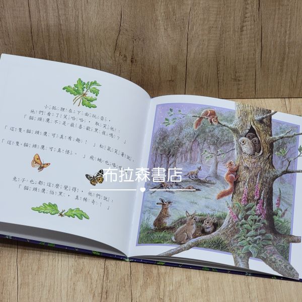 【生活品德教育繪本】共六本 生活品德教育繪本,上人文化,繪本,故事書,晚安故事,小動物,親子共讀,幼兒園,