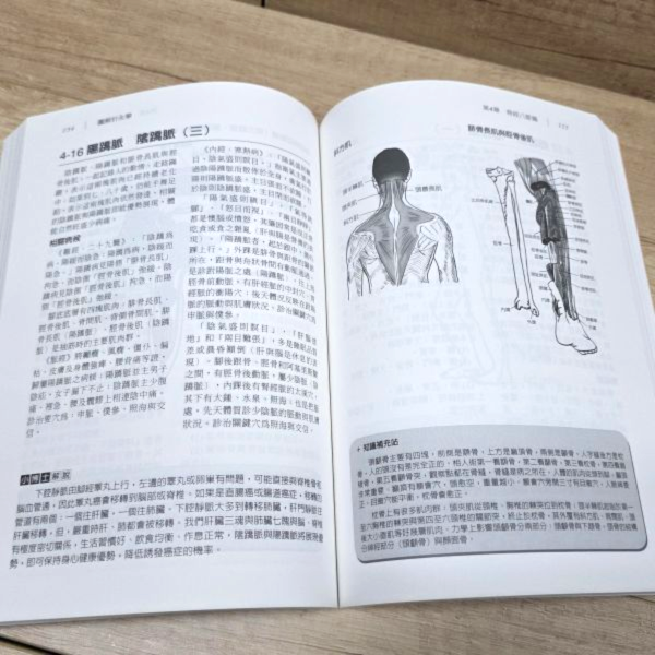 【圖解針灸學】 圖解針灸學,圖解系列,五南圖書,國家考試用書,內經,難經,傷寒論,金匱要略,中醫學,