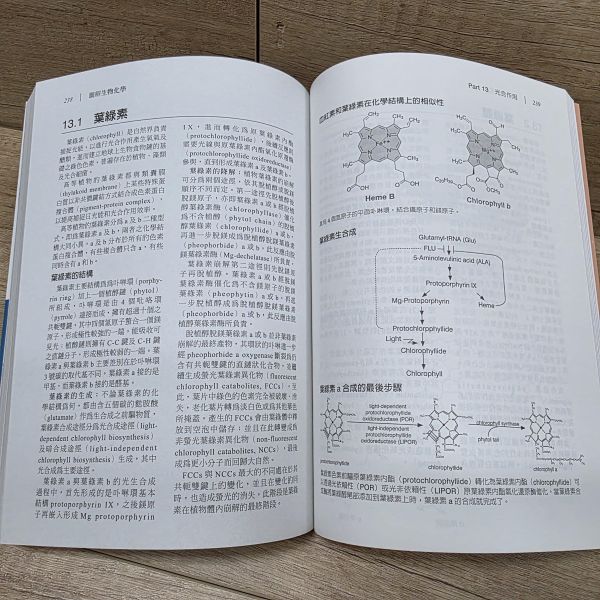 【圖解生物化學】 圖解生物化學,五南圖書,圖解系列,醫護,藥學,化學,食品科學,營養,生技,農學,水產,環境,公共衛生,生物學,基礎科學,製藥,醫學,營養學,生物技術,