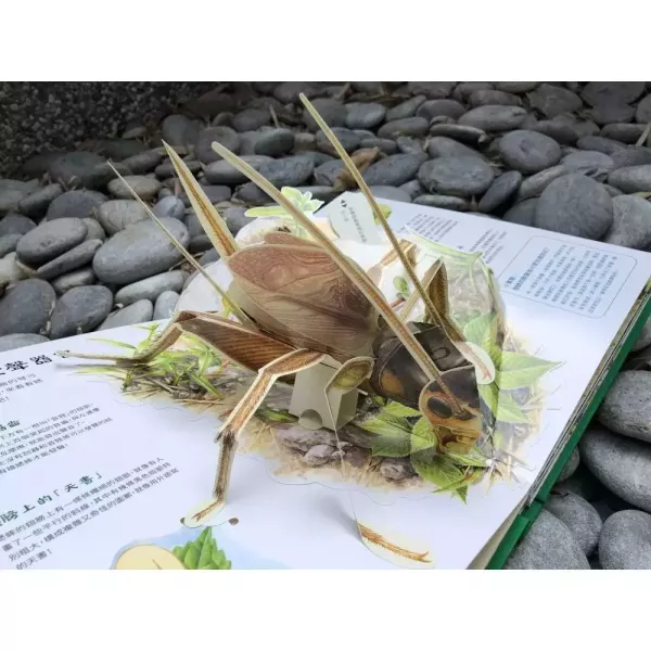 法布爾昆蟲記立體書 法布爾昆蟲記立體書 ,立體書昆蟲時報出版社法布爾玩具書收藏