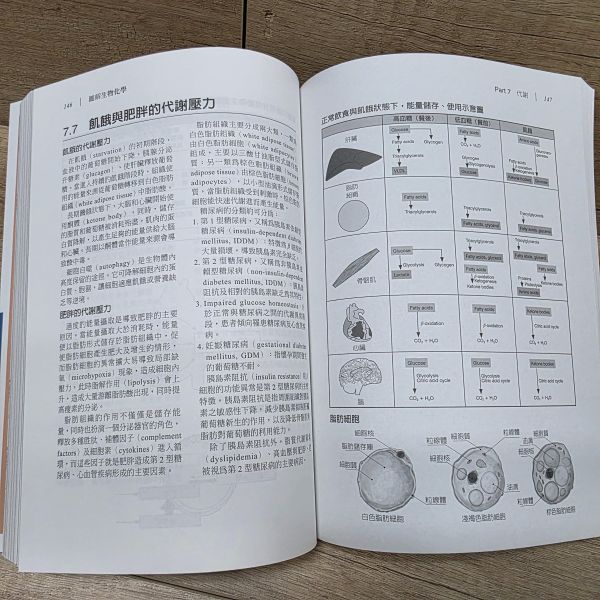 【圖解生物化學】 圖解生物化學,五南圖書,圖解系列,醫護,藥學,化學,食品科學,營養,生技,農學,水產,環境,公共衛生,生物學,基礎科學,製藥,醫學,營養學,生物技術,