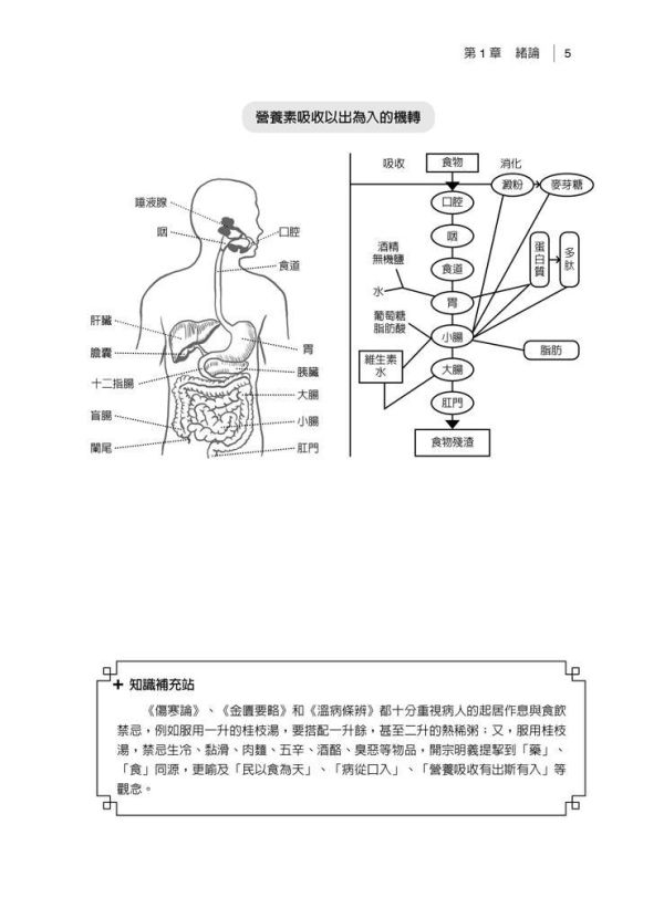 【圖解中醫學概論】 圖解中醫學概論,內經,難經,金匱要略,中醫,傷寒論,針灸,圖解系列,五南圖書,國家考試用書,