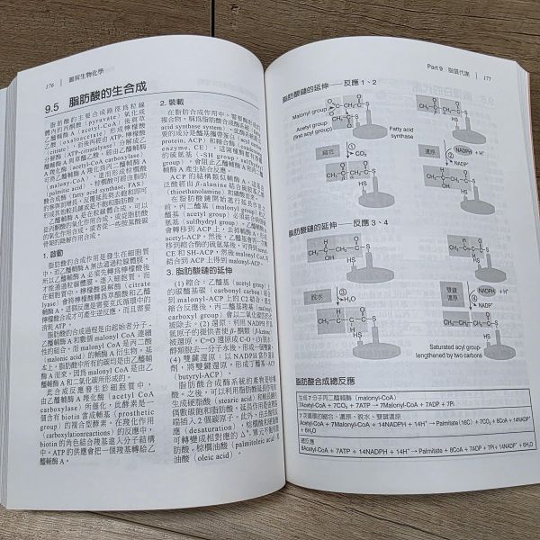 【圖解生物化學】 圖解生物化學,五南圖書,圖解系列,醫護,藥學,化學,食品科學,營養,生技,農學,水產,環境,公共衛生,生物學,基礎科學,製藥,醫學,營養學,生物技術,