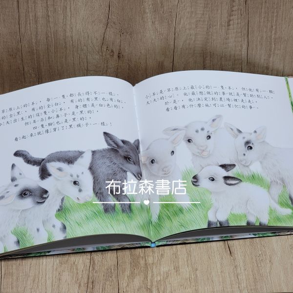 【生活品德教育繪本】共六本 生活品德教育繪本,上人文化,繪本,故事書,晚安故事,小動物,親子共讀,幼兒園,