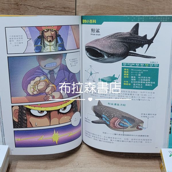 【X萬獸探險隊】第一輯 X恐龍探險隊,X萬獸探險隊,恐龍,異龍,異齒龍,二疊紀,探險