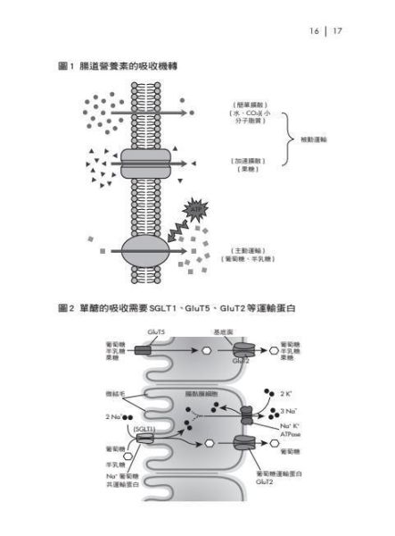 【圖解營養生化學】 圖解營養生化學,圖解系列,五南圖書,國家考試用書,高普考,公職考試,證照考科試,大學用書,醫護暨生命科學-食品營養