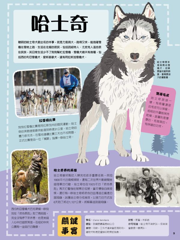 【SDGs主題套書：世界動物小百科＋探索海洋】兩冊 SDGs主題套書：世界動物小百科＋探索海洋,環保,動保,百科,五南圖書,