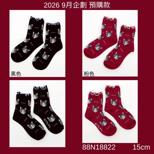 秋冬9月-貓咪頭朵朵邊襪 