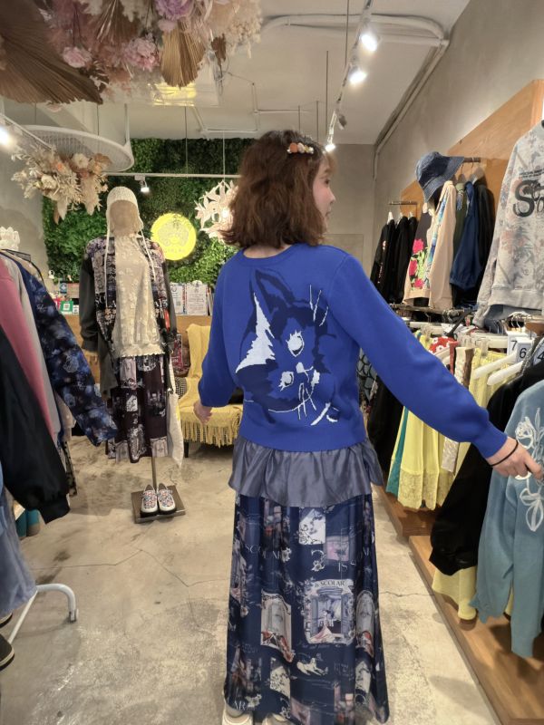 貴族阿富汗狗狗緞面裙 