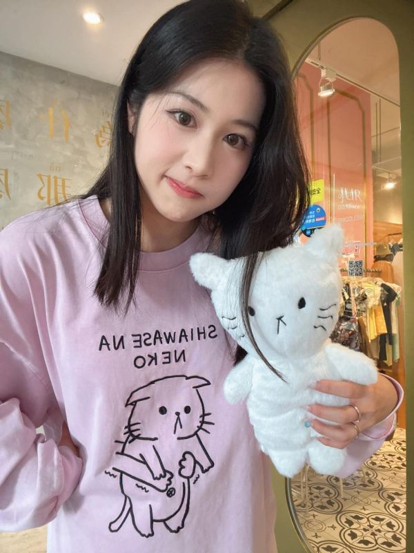 關於長胖的貓上衣 