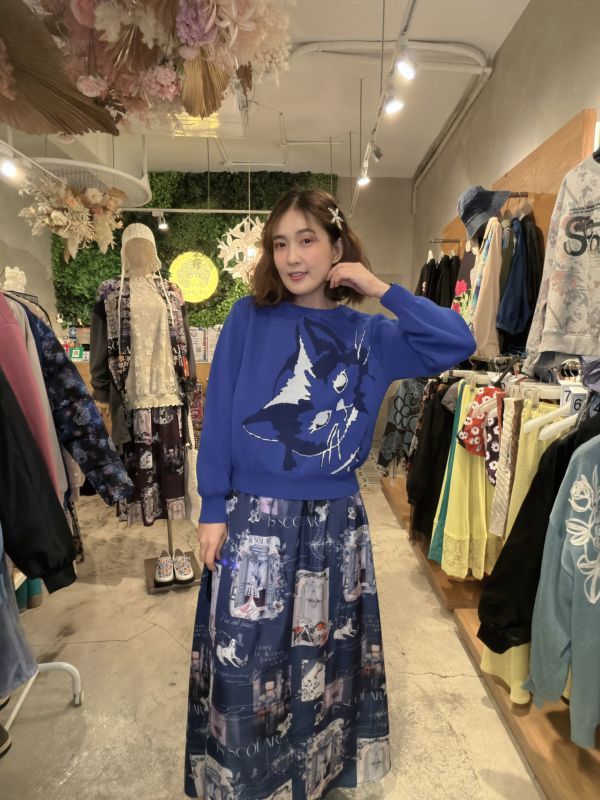 貴族阿富汗狗狗緞面裙 