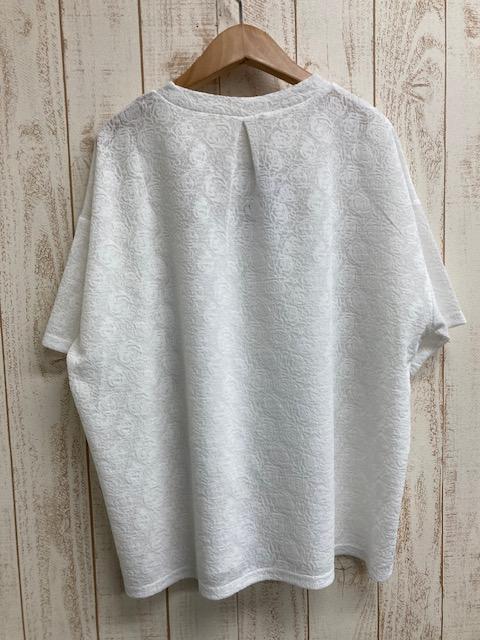 蕾絲布娃娃頭花園上衣 