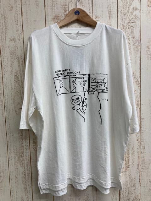 工系貓拒絕熊上衣 