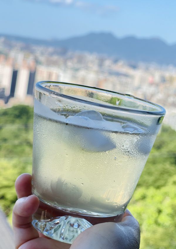 蜜蘋果釀造醋 以斯帖花園, 北大武山水果釀造醋, 北大武山蟲鳴果園, 香檬醋, 甜桔醋, 健康醋, 養身飲品