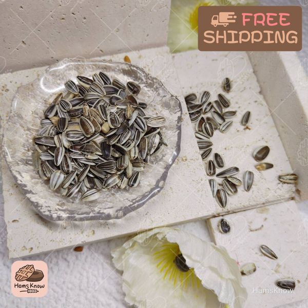 葵瓜子（10克） 鼠知,特調鼠食,鼠知特調,倉鼠飼料,鼠主食,倉鼠,黃金鼠,愛鼠協會,咩醬王國