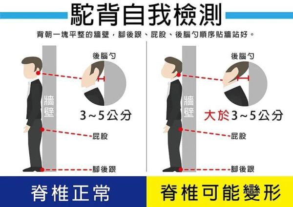 【YAMAKAWA】姿勢矯正背帶/挺背帶/8字型設計 姿勢矯正背帶,挺背帶,8字型設計,YAMAKAWA,台灣暢銷,台灣,矯正背帶,背帶,支撐,防駝背矯正帶,圓肩,高低肩,脊椎不正,腰背不適,背部痠痛
