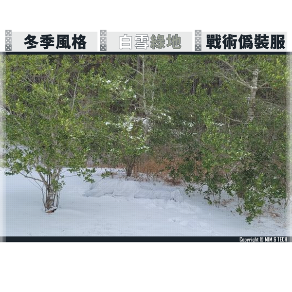 MIM & TECH W-RCS "Green" Reversible Camo Oversuit Set (WINTER) MIM & TECH,W-RCS,Green,Reversible Camo,Oversuit,Set,WINTER,吉利服,偽裝服,野生觀察,林務局,巡山員,警察,YMS AIRSOFT,YMS,AIRSOFT,YAMASHUN,TAIWAN AIRSOFT,AIRSOFT TAIWAN,亞瑪順,生存遊戲