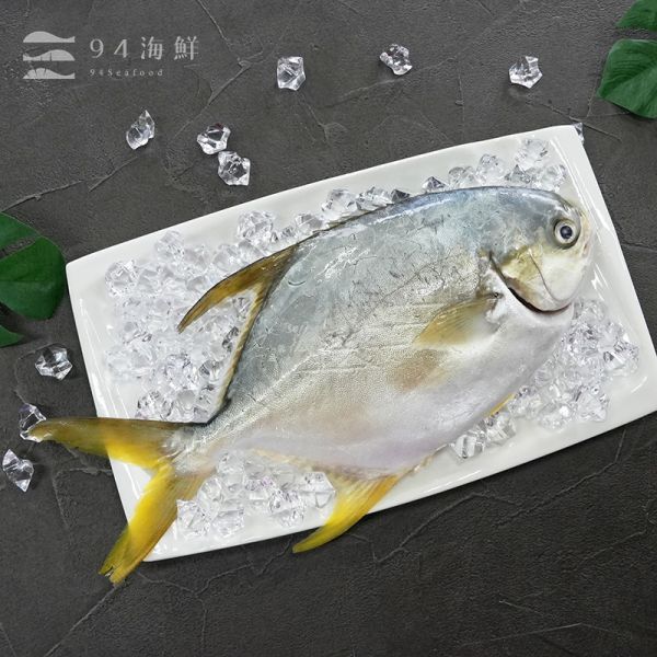 頂級黃金鯧魚-(600克上/隻) 