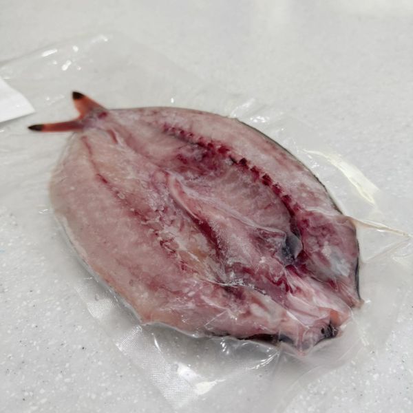現流急凍黑尾冬 