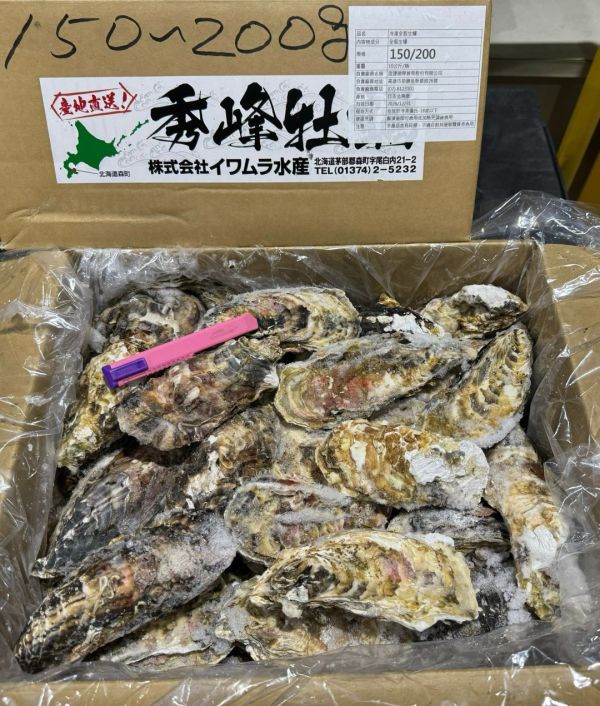 北海道生食級全殼生蠔(10KG/箱) 