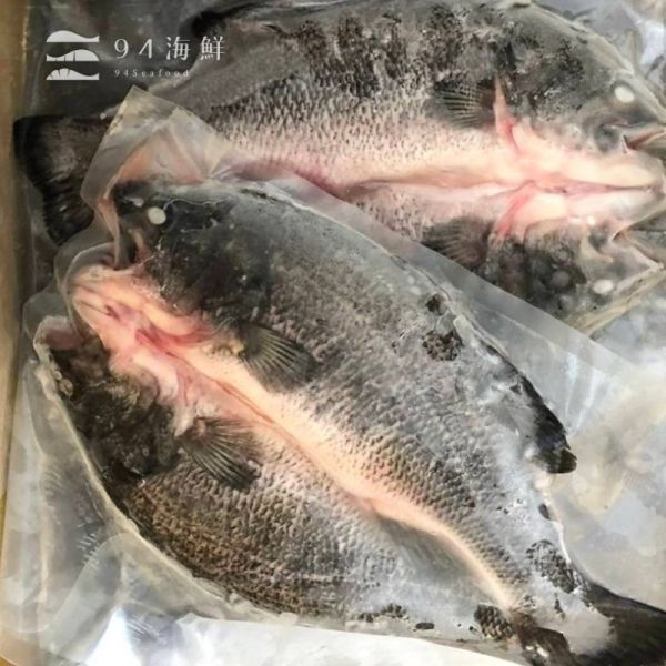 宜蘭山泉鱸魚 蝴蝶切(5-600克/P) 