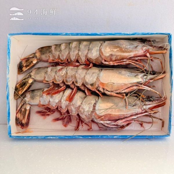 巨無霸 七星牌 海虎蝦 