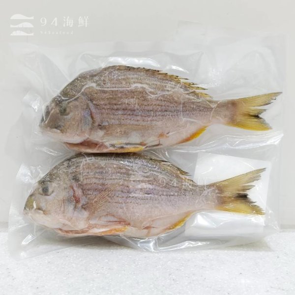 現流急凍班頭魚 