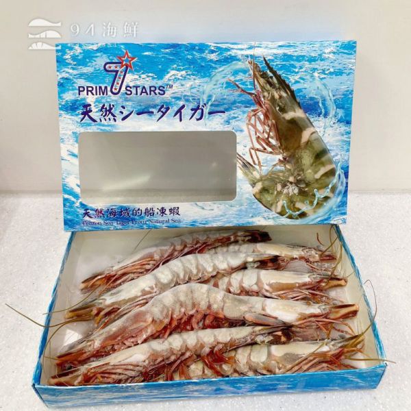 巨無霸 七星牌 海虎蝦 