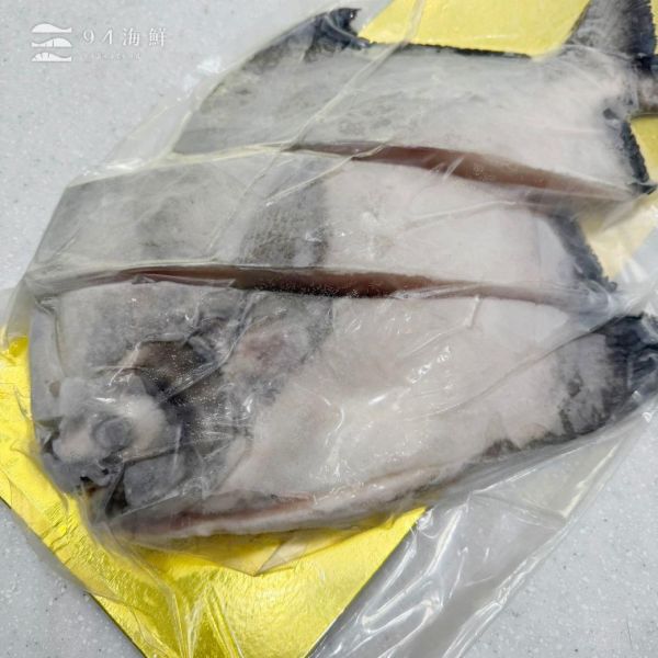 野生斗鯧魚 