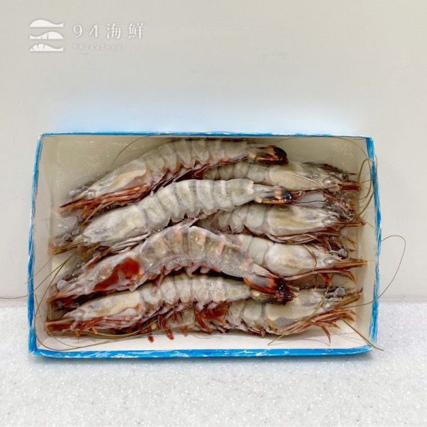 巨無霸 七星牌 海虎蝦 