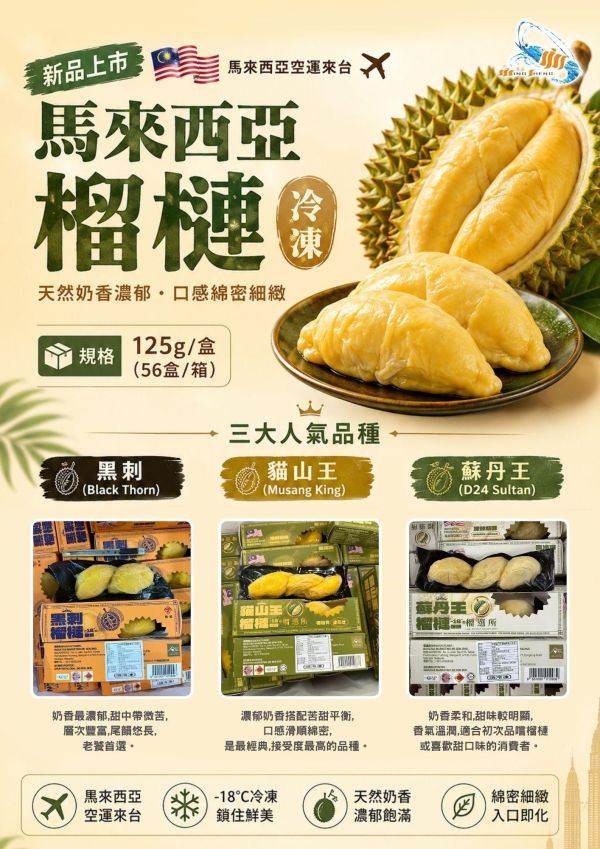 馬來西亞-貓山王榴槤125g/盒 