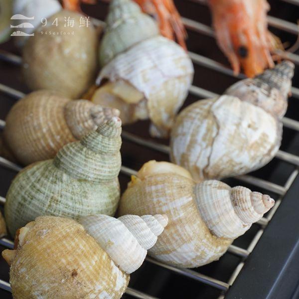 【滿1500元贈品】愛爾蘭熟海螺(8-10顆)/盒 