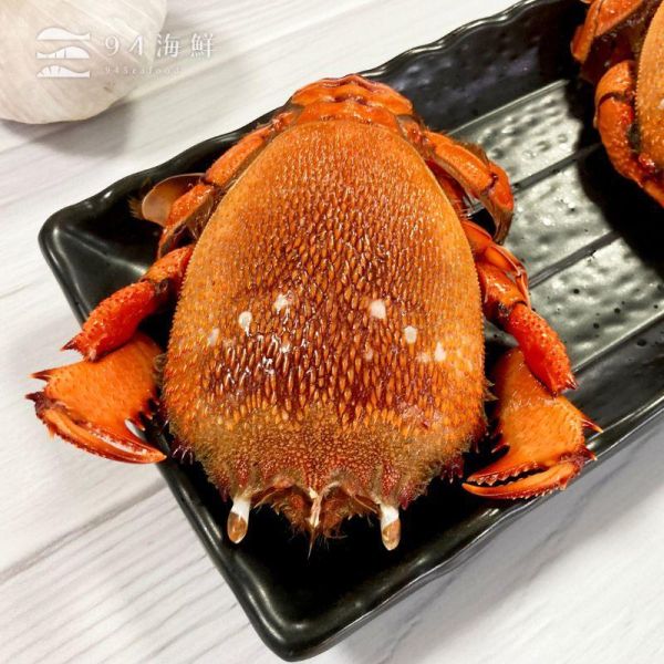 野生活凍旭蟹 (大) 300-400克/隻 