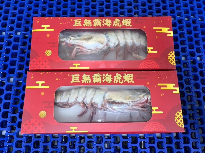 巨無霸 七星牌 海虎蝦 