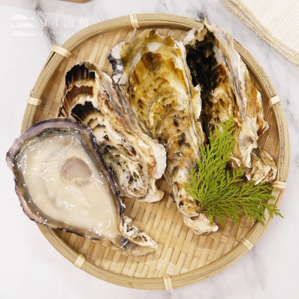 日本生食級全殼生蠔80/100(5顆/包)兵庫 
