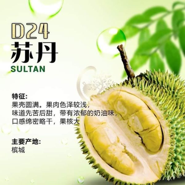 馬來西亞-蘇丹王榴槤125g/盒 