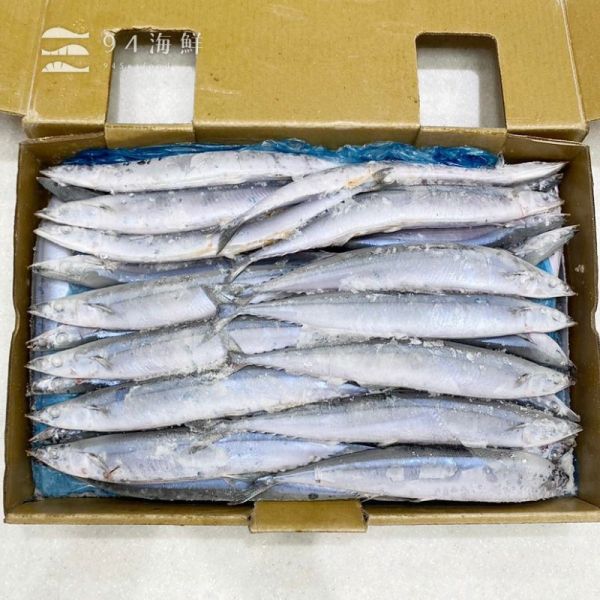 野生特號秋刀魚(整箱) 