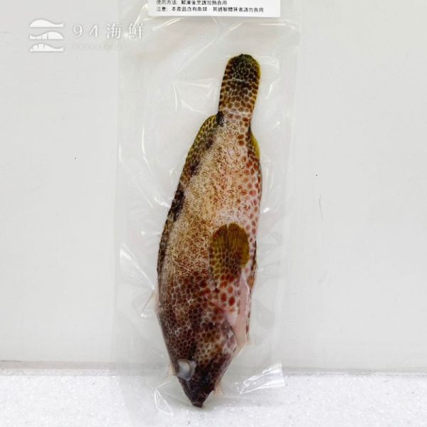 現流急凍芝麻石斑魚(1隻/包) 