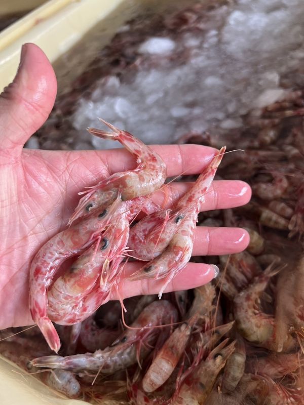 澎湖火燒蝦仁(150克/包) 火燒蝦仁 厚殼蝦仁