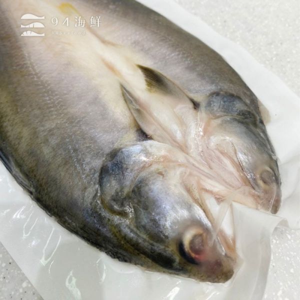 一夜干-午仔魚  350-400G/片 