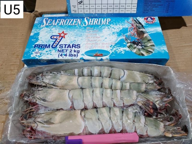 巨無霸 七星牌 海虎蝦 